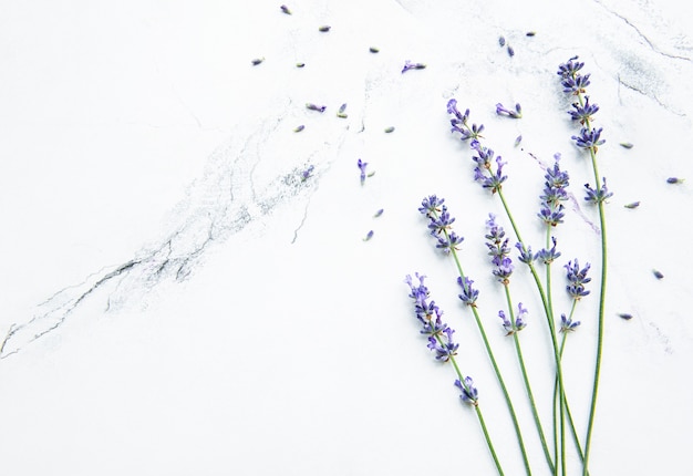 Lavender on a white marble