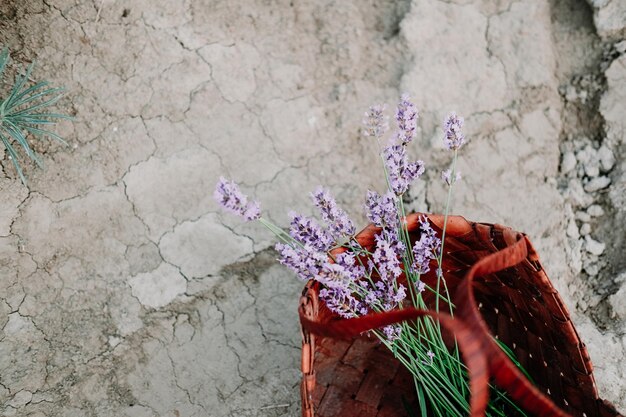 Foto lavanda in un cesto di vimini