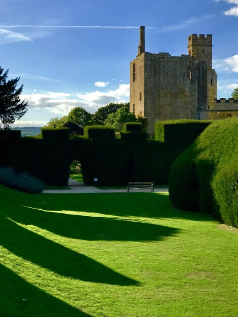 Photo lawn by building against sky