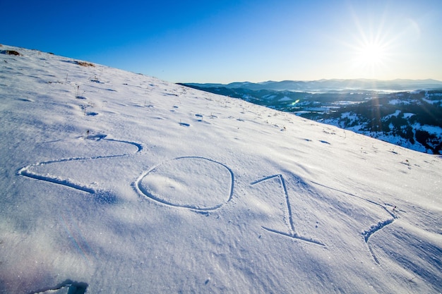 雪に覆われた芝生の上に、凍るような冬の日に雪が降り注ぐ素敵な木々が立っています