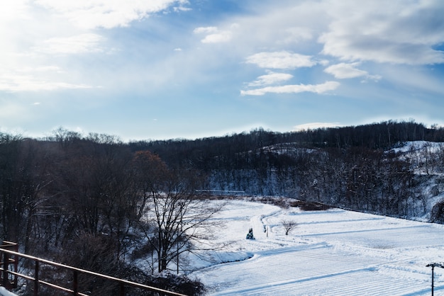 Газон покрытый белым снегом в морозный зимний день с голубым небом
