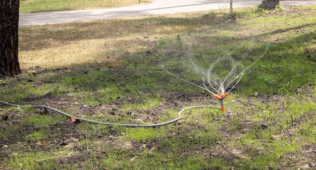 Impianto di irrigazione del prato funzionante in un parco verde. spruzzare il prato con acqua quando fa caldo. irrigatore automatico. la testa dell'irrigatore di irrigazione automatica innaffia il prato. giardino intelligente.