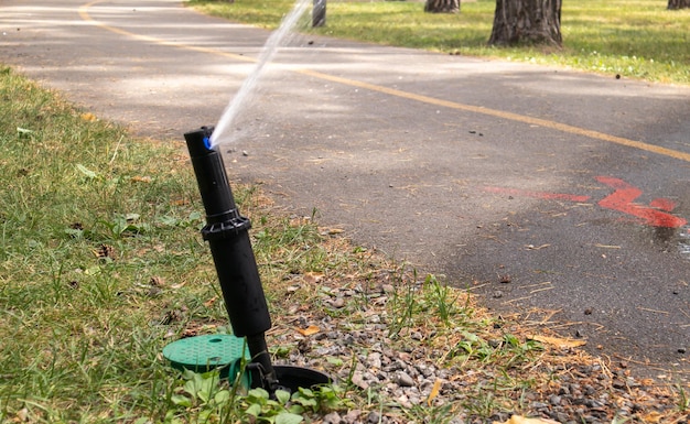 Lawn irrigation system working in a green park. Spraying the lawn with water in hot weather. Automatic sprinkler. The automatic watering sprinkler head watering the lawn. Smart garden.