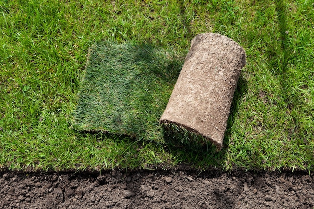 芝生、芝ロールまたは芝生の緑のロールの敷設。領土を改善するための簡単な方法。