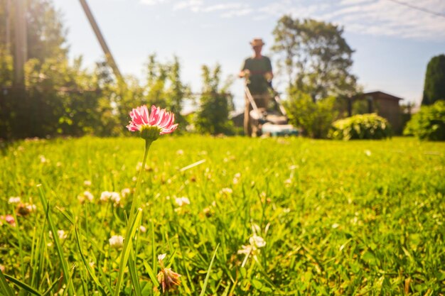 写真 緑の芝生を切る機械 芝生の切り替え機 芝生切り機