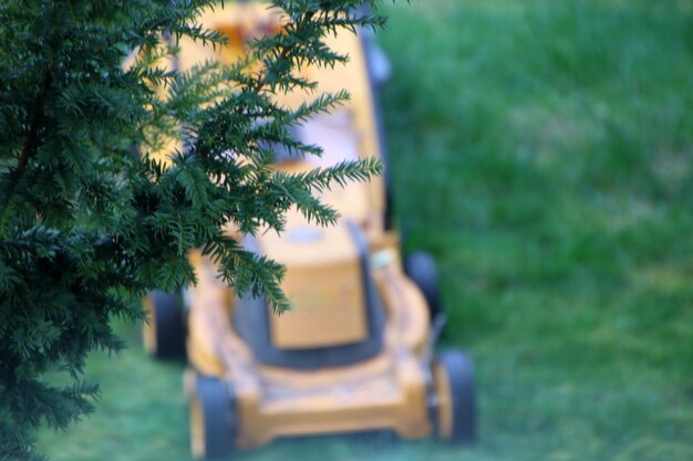 Photo lawn mower in park