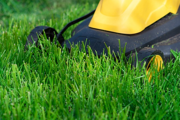 Photo lawn mower trimming grass close up