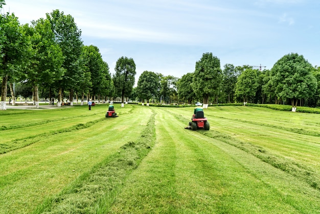 Lawn Mower. The worker cuts the lawn. Gardening