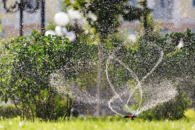 緑の芝生に水をまく間、晴れた夏の日にアクションガーデンスプリンクラーの芝生スプリンクラー