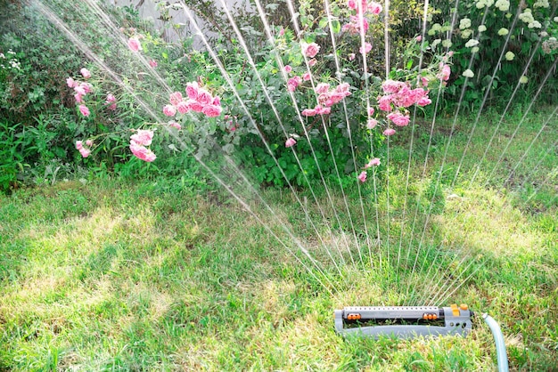 Spruzzatore per prato che spruzza acqua sull'erba verde in una giornata di sole sistema di irrigazione