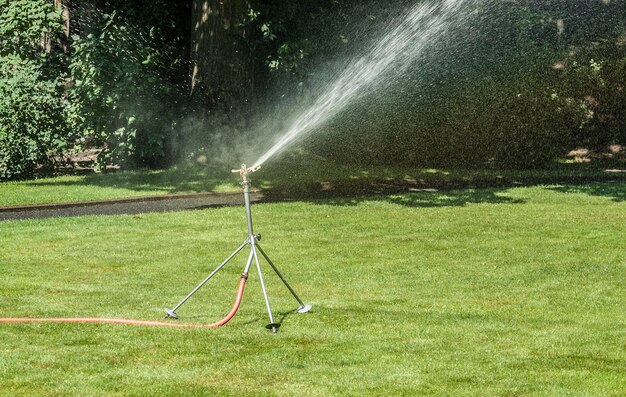 lawn sprinkler