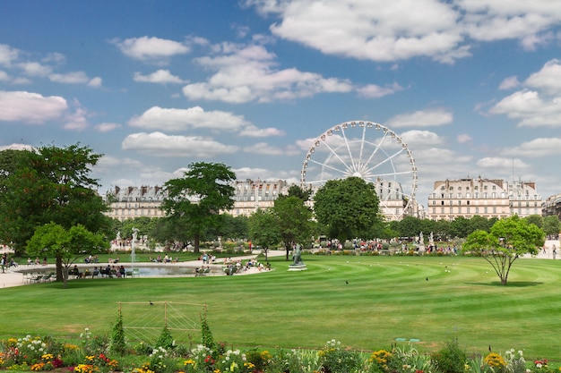 Lawn of Tuileries garden at summer day, Paris, France