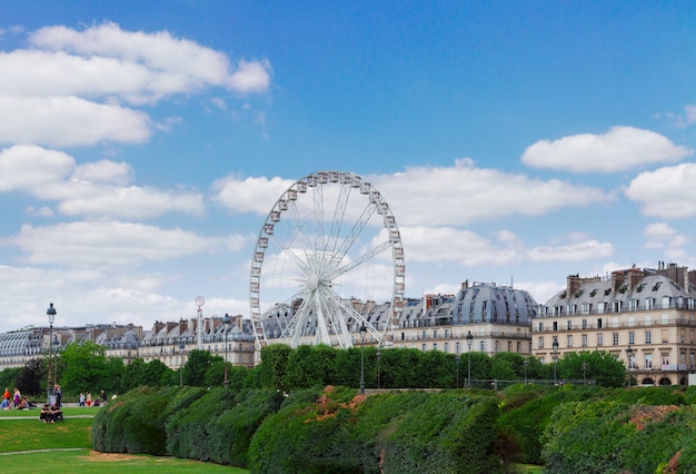 Lawn of Tuileries garden with ferry wheel at summer day, Paris, France