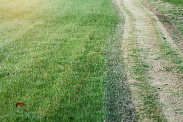 Photo lawn was cut in park.