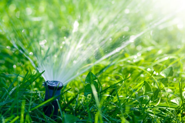 Lawn water sprinkler spraying water over lawn green fresh grass in garden or backyard on hot summer day. Automatic watering equipment, lawn maintenance, gardening and tools concept.