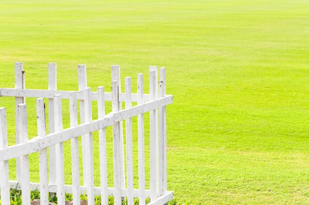 The lawn white wooden fence green grass in garden