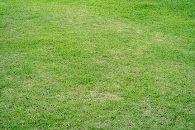 A lawn with a sign that says'grass '