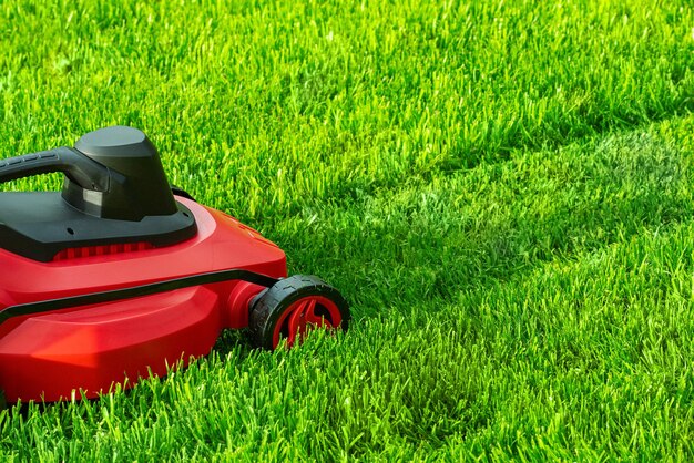 The lawnmower mows the grass Working tool for lawn care