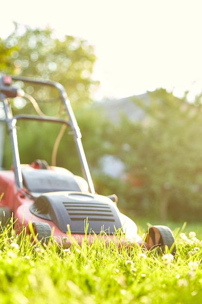 芝刈り機は、自宅の庭で芝生を刈り取り、作業、日光、あらゆる目的のための素晴らしいデザイン、ガーデニングのコンセプト
