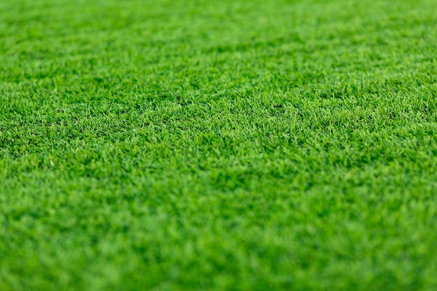 Lawns, artificial, sports background