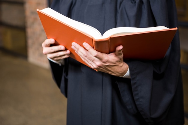 Lawyer holding a law book in office