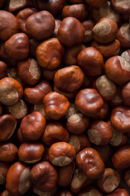 A layer of chestnuts as a background