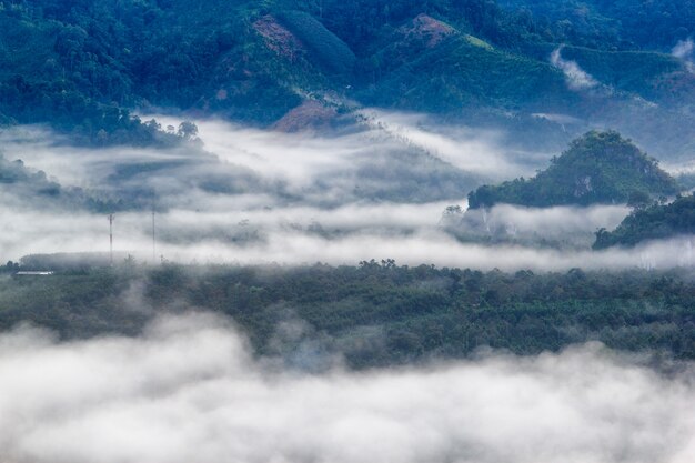 日の出時、バーンナイウォン、ラノーン県、タイで霧の中で山の層