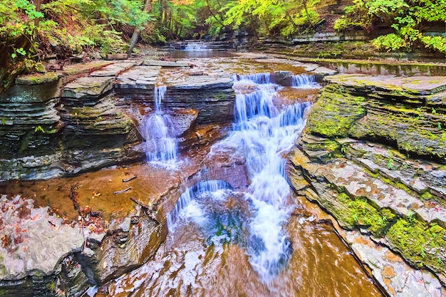 緑豊かな森の川を流れる層状の岩と滝