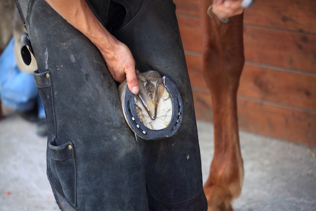 Laying a horseshoe