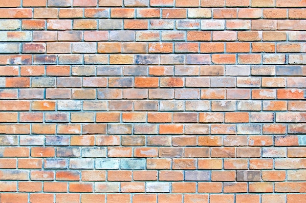 Laying of red bricks interspersed with blue