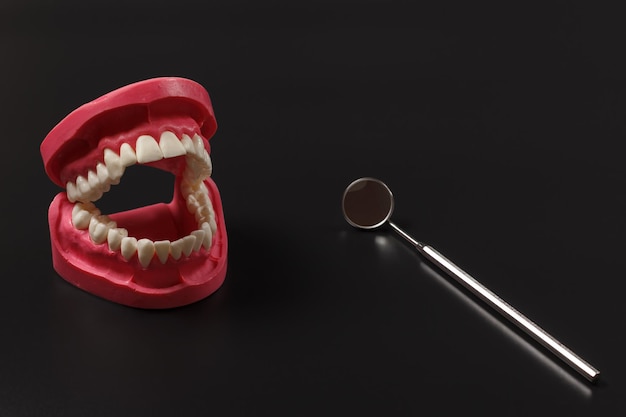 Layout of the human jaw and a mouth mirror