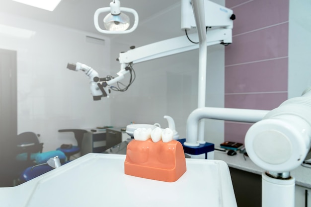 the layout of the teeth in the dental office