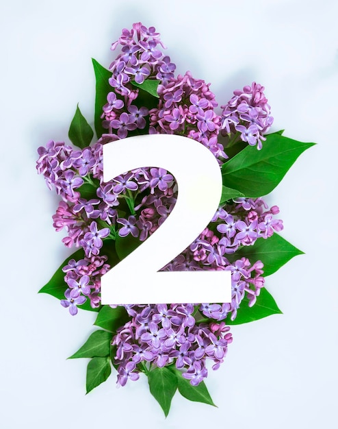 Layout with lilac flowers leaves and number two Top view