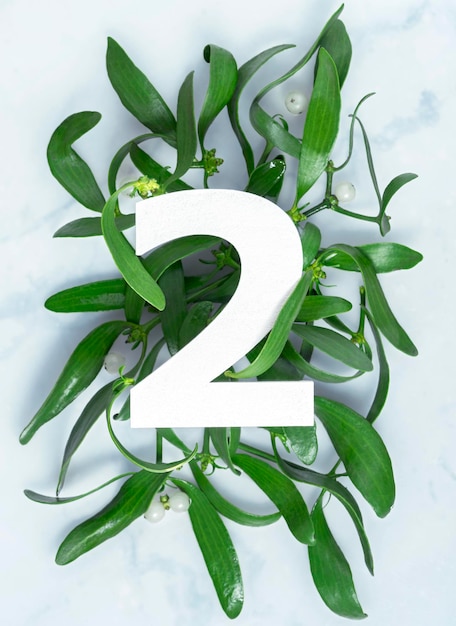 Layout with mistletoe branches and number two Top view