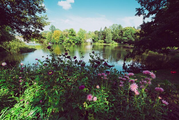 Lazienki Park in Warsaw