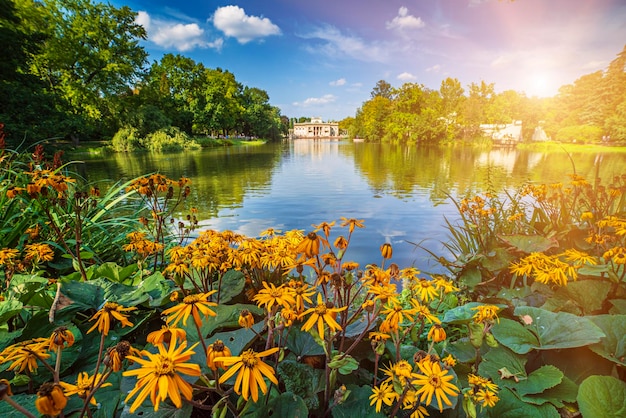 Photo lazienki park in warsaw