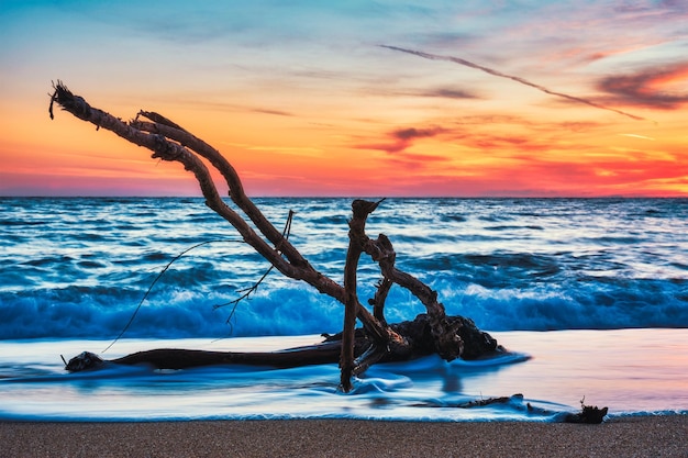 Ld деревянный ствол загвоздка в воде на пляже на красивом закате