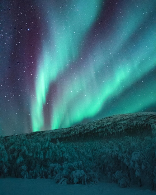 Foto le plus beau paysage du monde