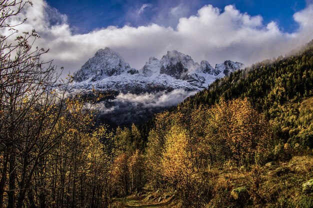 Foto le tour a chamonix in haute savoiefrance