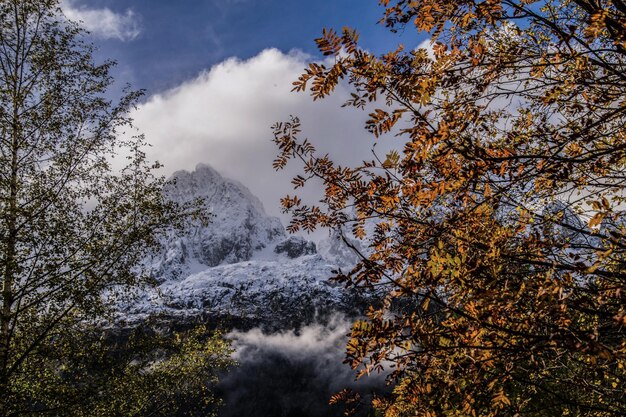 Foto le tour a chamonix in haute savoiefrance