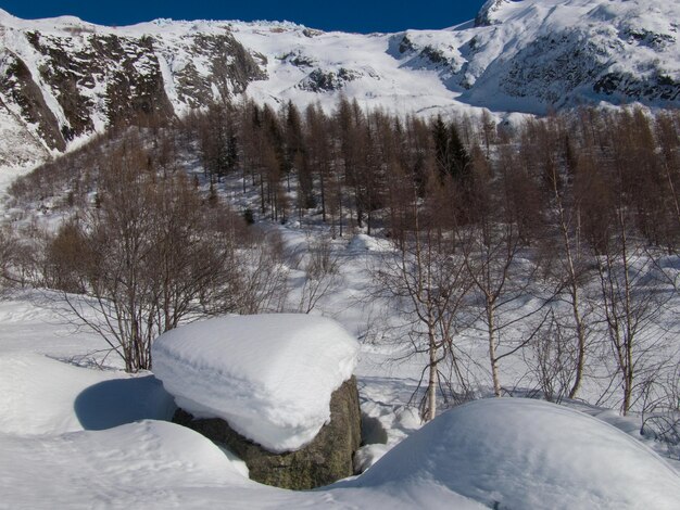 Le Tourchamonixhaute Savoiefrance