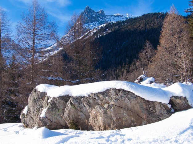 Le Tourchamonixhaute Savoiefrance