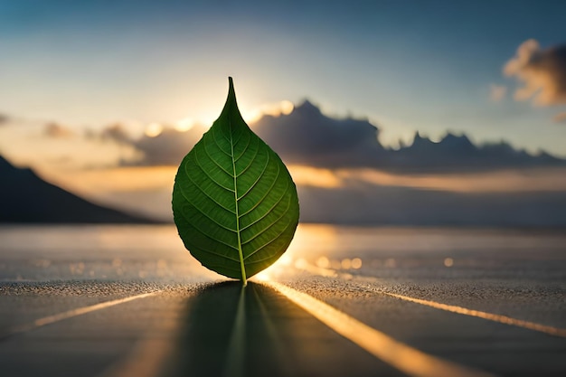 A leaf on a beach with the sun setting behind it