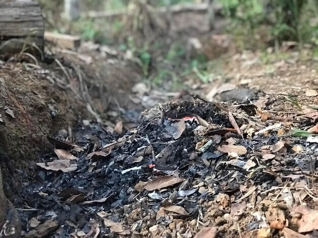 Foto bruciare le foglie a terra bruciare i rifiuti