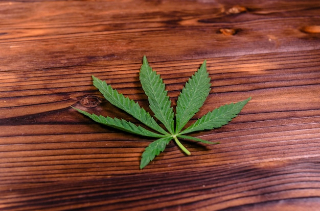 Leaf of the cannabis plant on rustic wooden table