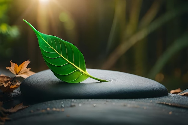 a leaf on a car seat with the sun behind it.