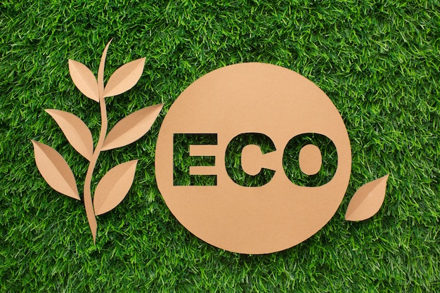 Photo leaf and ecology sign on grass