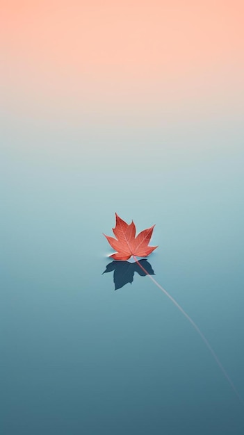 a leaf floating in the water with the sun setting behind it.