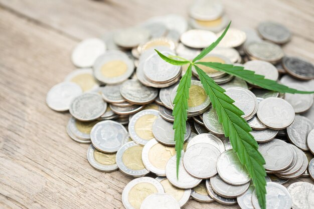 Фото Зеленый свежий лист дерева марихуаны на куче монет на фоне деревянных досок концепция роста и инвестиций