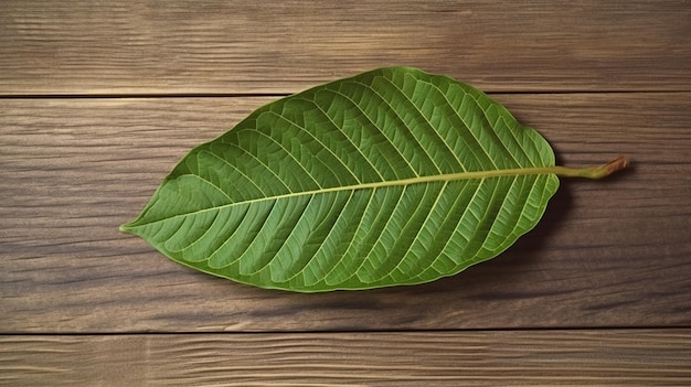 A leaf of a green leaf on a wooden table.